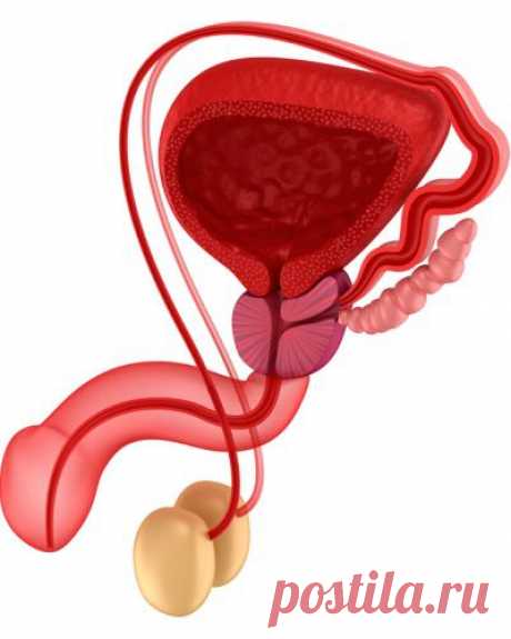 Удаление Аденомы Простаты и Жизнь После Операции