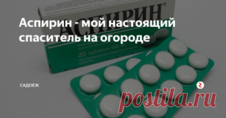 Аспирин - мой настоящий спаситель на огороде Аспирин - один из тех препаратов, которые стоят недорого, но приносят колоссальную пользу на огороде. Эти таблетки наверняка есть в аптечке у каждого дачника. И сегодня я расскажу как и для чего я применяю эти чудодейственные таблетки на огороде.
В первую очередь хочу отметить, какую пользу приносит аспирин нашим растениям:
усиливает иммунитет
устраняет микробов