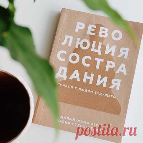 В этой маленькой книжке большая сила. Сила каждого из нас.