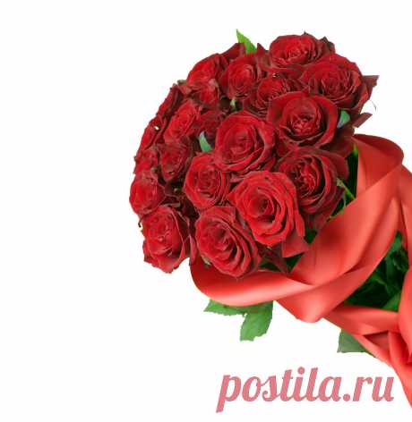 Rose 41166_ 花 写真 _Flower class_ Gallery Wallpaper_68Design