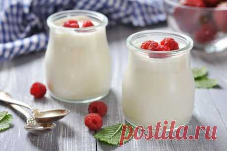 Натуральный йогурт – сила живых бактерий , кулинарный портал «Едим дома!»