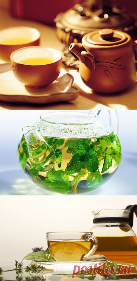 Как правильно заваривать травяной чай? Кладезь рецептов мудрости природы