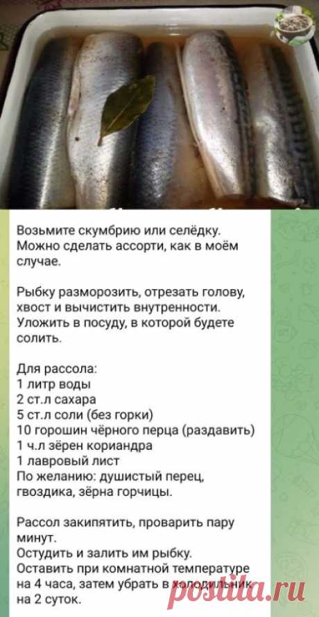 Отличный посол рыбы