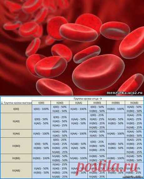 Группа крови - Болезни и Характер Диета - БиоЭнергетика - Мензурка