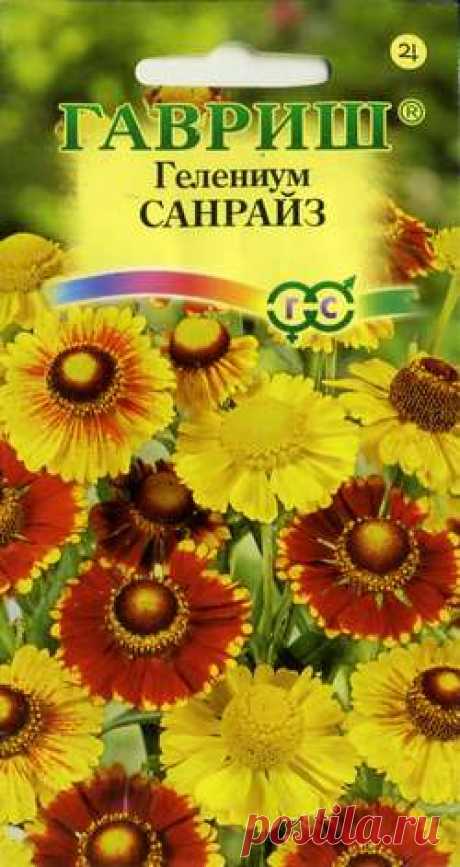 Гелениум осенний &quot;Санрайз&quot;, смесь