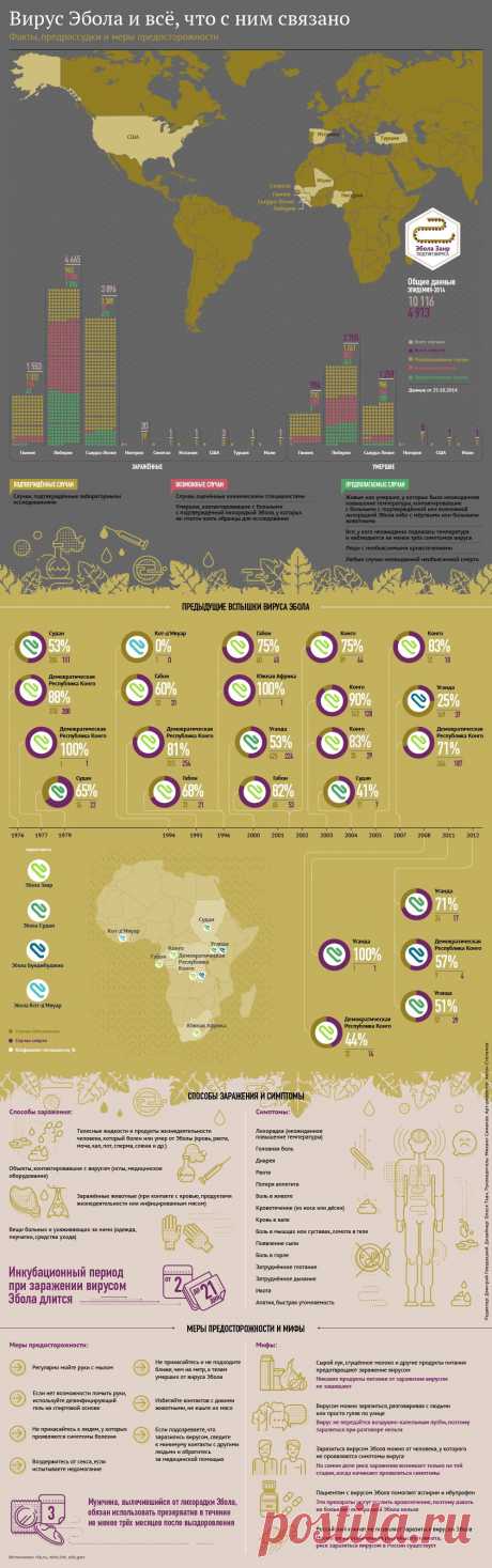 Лихорадка Эбола: очаги распространения, симптомы и профилактика | РИА Новости