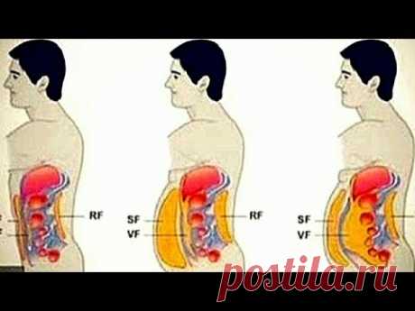 7 привычек от которых РАСТЕТ ЖИВОТ! Убрать живот НАВСЕГДА !