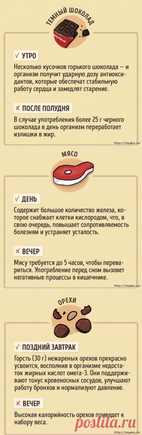 В какое время дня полезно есть те или иные продукты!