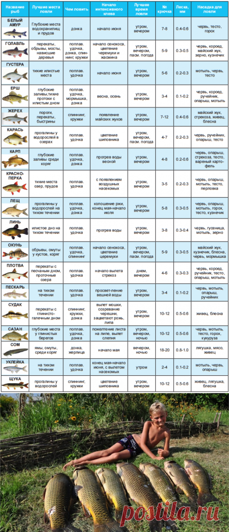 Таблица, необходимая рыболову (на май - июнь)