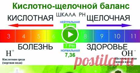 Список лучших 27 щелочных продуктов на планете. Ешьте больше, чтобы предотвратить рак, ожирение и болезни сердца! - Страница 2 из 2