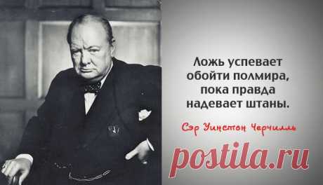 Мы собрали 40 мудрых высказываний сэра Уинстона Черчилля о политике и жизни, которые передают всю глубину, проницательность и остроумие этого гениального человека, прославившего и себя, и свою страну на весь мир: