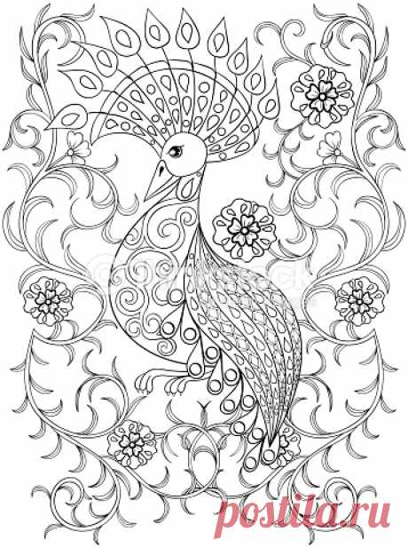 Coloring page with Bird in flowers, illustartion bird for adult... Coloring page with Bird in flowers, illustartion bird for adult Coloring books or tattoos with high details isolated on white background. Vector monochrome sketch of exotic bird.