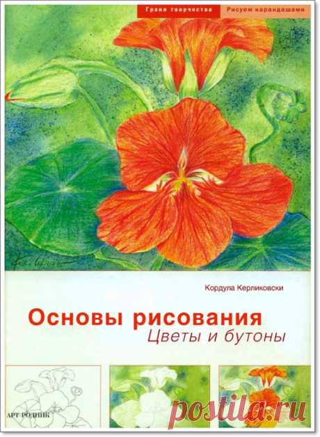 Книга "Основы рисования. Цветы и бутоны".