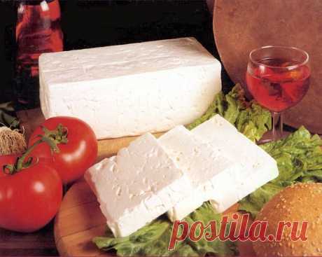 Приготовление сыра в домашних условиях, 23 рецепта домашнего сыра