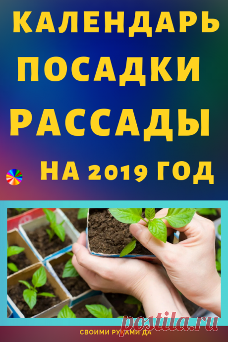 Календарь посадки рассады на 2019-й год + полезные советы дачникам