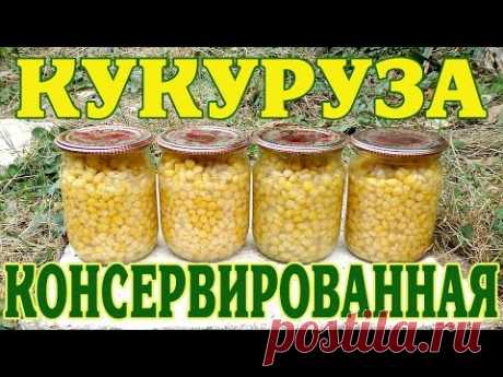 Кукуруза консервированная. Заготовка на зиму.