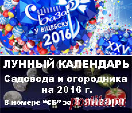 Сад и огород: информация об удобрениях, семенах, рассаде, теплицах