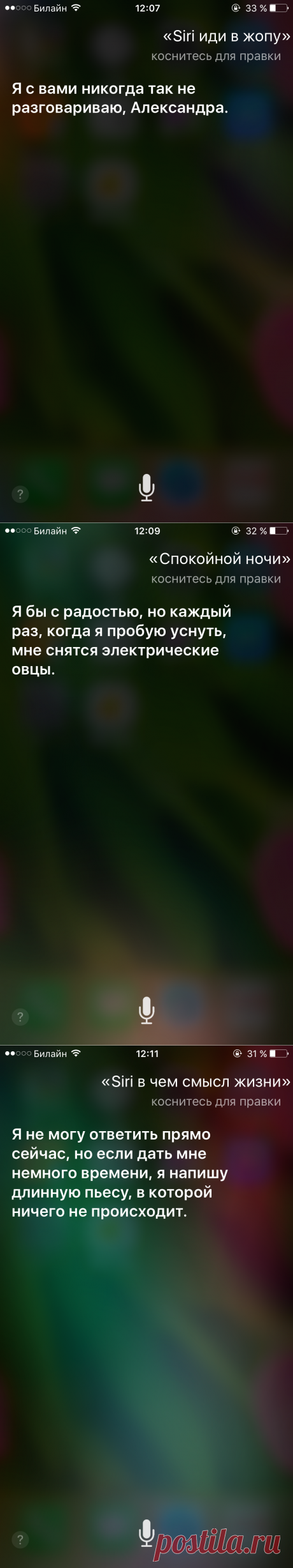 Siri шутит: 25 забавных диалогов на русском языке - Pics.Ru