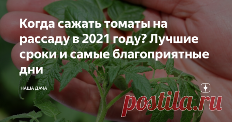 Когда сажать томаты на рассаду в 2021 году? Лучшие сроки и самые благоприятные дни Знаю лично людей, которые уже посадили томаты на рассаду. Положа руку на сердце, скажу – рано еще, господа-товарищи! Если только вы, конечно, не имеете роскошь отапливаемой теплицы в вашем хозяйстве.