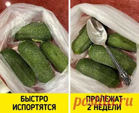 Непривычные способы хранения продуктов, которые кажутся абсурдными - Любопытности и невероятности - 17 апреля - 43569048402 - Медиаплатформа МирТесен