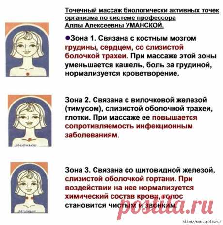 Точечный массаж биологически активных точек