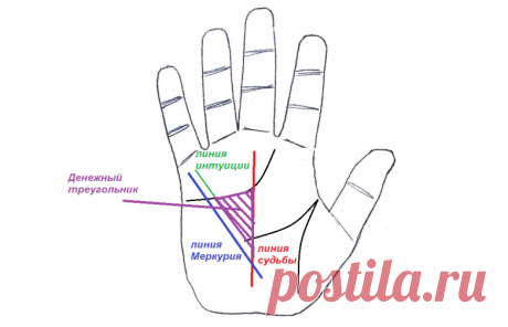 7 знаков богатства на ладони / Мистика