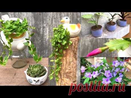 6 ways to recycle old furniture into a beautiful flower pot | 6 cách tái chế thành chậu hoa rất đẹp - YouTube