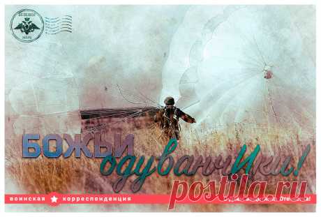 Минобороны выпустило к 23 февраля серию открыток с новой порцией военных шуток - Новости - 66.ru