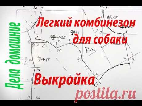 Как построить выкройку комбинезона для собаки. Повседневная одежда.