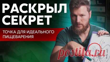 Секретная точка для идеального пищеварения | Тимофей Кармацкий | Дзен