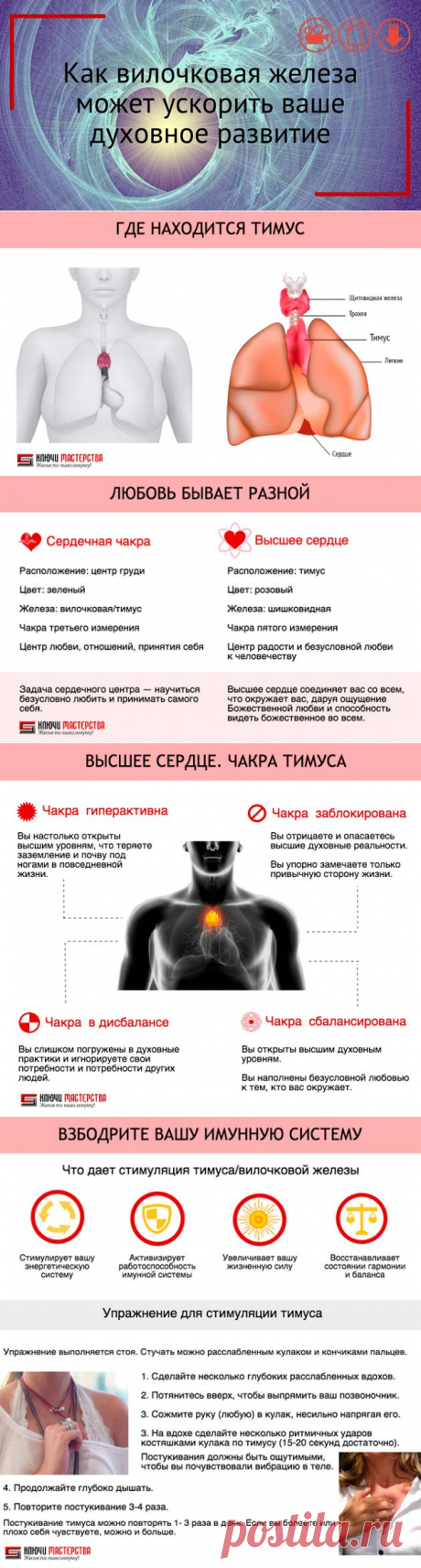 Как вилочковая железа может ускорить ваше духовное развитие