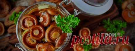 Маринованные рыжики - вкусный рецепт с пошаговым фото