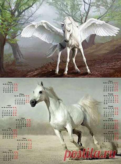 Год 2014 — год Лошади: что означает символ лошади (коня)? Подборка фотографий (65 фото лошадей). Фотокалендарь 2014 | Informatio.ru