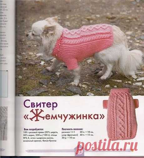 Вязаная одежда для собак: Дневник группы «ВЯЖЕМ ПО ОПИСАНИЮ»: Группы - женская социальная сеть myJulia.ru