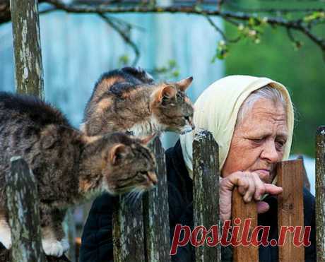 А мама утверждает, что здорова,
Вот только ноги – словно не свои,
Да только где их нынче купишь, новых.
Походим с палкой, на своих троих.
И злится на изменчивую память,
Что забывает нужные слова...
Не надо, мам! Ведь ты пока что с нами.
Спасибо тебе, мама, что жива!
Что, несмотря на годы и усталость,
В тебе ни дух, ни разум не угас.
Я знаю, мама, что тебе досталось,
Каким был горьким хлеб и кислым квас.
Но как бы жизнь тебя ни обижала,
Ты злобы не таила за душой,
И весь св...