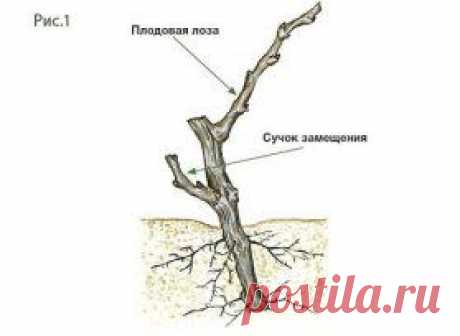 Одноклассники