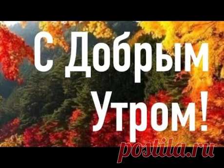 С добрым утром! Хорошего дня!