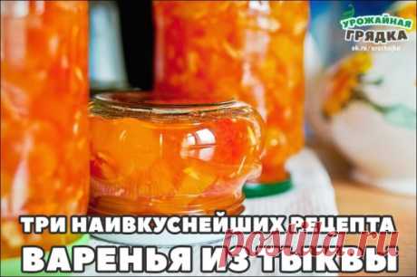 ТРИ НАИВКУСНЕЙШИХ РЕЦЕПТА ВАРЕНЬЯ ИЗ ТЫКВЫ.
Эти вкусные рецепты варенья из тыквы не только вкусные, но и полезные. Если у Вас отличный урожай тыквы, то рекомендую приготовить такое лакомство.
ВАРЕНЬЕ ИЗ ТЫКВЫ
**********************
Нам понадобится:
1 кг тыквы
850 грамм сахара
1 лимон
1 апельсин
Тыкву чистим, нарезаем кубиками.
Лимон очищаем от семян, нарезаем мелко с цедрой.
Апельсин очищаем от шкурки и семян, нарезаем мелко.
Все соединяем, засыпаем сахаром, даем настоятьс...