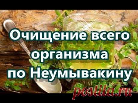 Очищение всего организма по Неумывакину