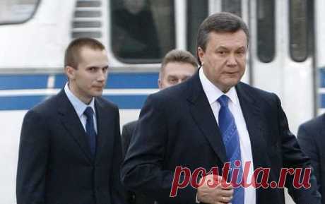 7000 компаний захватила семья Януковичей. Но их активы почему-то никто не трогает • Национальный антикоррупционный портал АНТИКОР