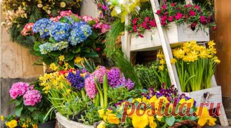 Когда сажать тюльпаны, нарциссы, лилии, крокусы и другие луковичные осенью по Лунному календарю на Supersadovnik.ru