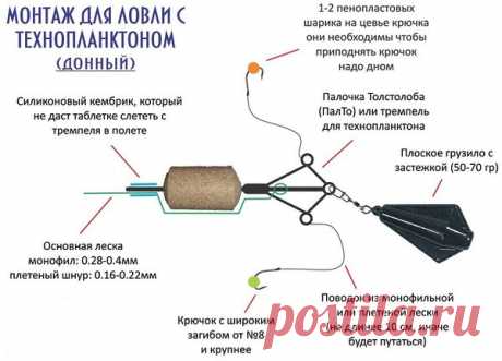 Толстолобик | Моя рыбалка |