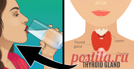 Это может помочь вылечить щитовидную железу и сбалансировать ее гормоны - ХОЗЯЮШКА24   Вы должны это знать! Заболевания щитовидной железы затрагивают более 20 миллионов человек в США, что вызывает тревогу, поскольку роль щитовидной железы имеет большое значение для нашего общего...