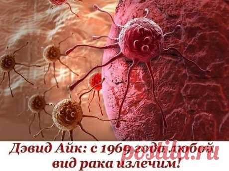 Дэвид Айк: С 1969 года ЛЮБОЙ ВИД РАКА ИЗЛЕЧИМ!
Точки здоровья на наших ладонях 
Нажимая на некоторые точки на наших ладонях, можно повлиять на разные органы.Рак – излечимая грибковая инфекция. Очень похоже на то, что медицинская мафия использует слово «рак», как обманку для последующего массового убийства людей с помощью радио- и химиотерапии. Процедуры эти очень дорогие, но работают хорошо – убивают абсолютно все
Цифры, конечно, впечатляющие. Восемь миллионов людей умирает ежегодно от