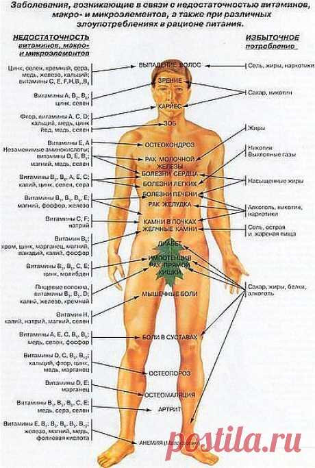 Чего не хватает организму для полного здоровья. Обсуждение на LiveInternet - | ПРИЛЮДИЯ