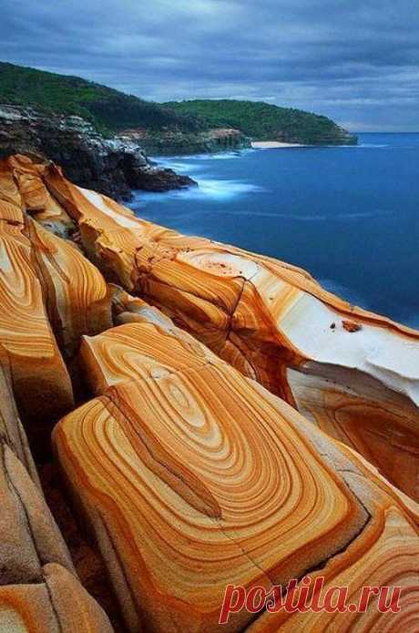 Rahul Dixit – Google+ - Bouddi National Park AustraliaFor Eng...