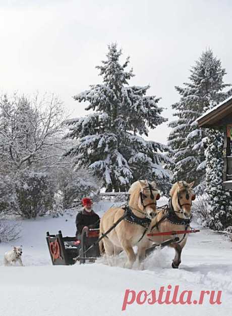 Follow the West Wind | (via Dashing Through The Snow | Rustic Christmas)