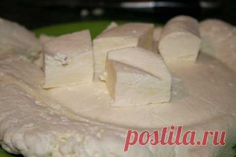Домашний адыгейский сыр — Хозяюшка