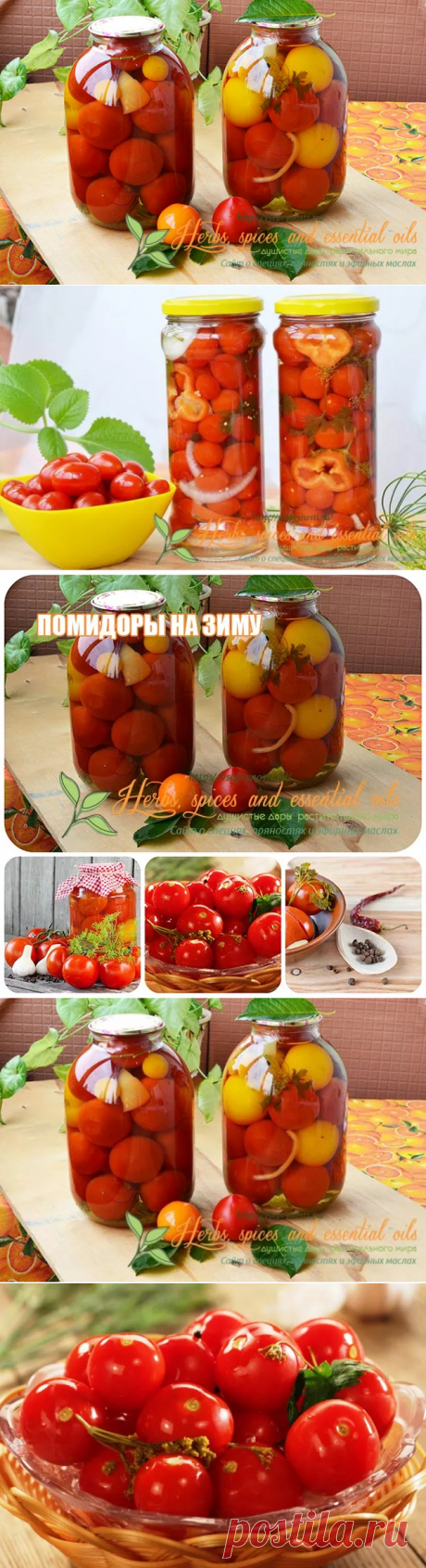Заготовки из помидоров на зиму - вкусные рецепты с фото и видео