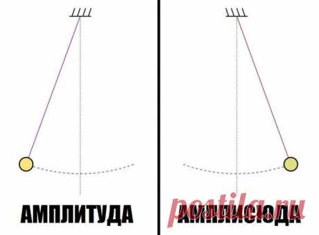 Лучшие прикольные картинки! / Приколы